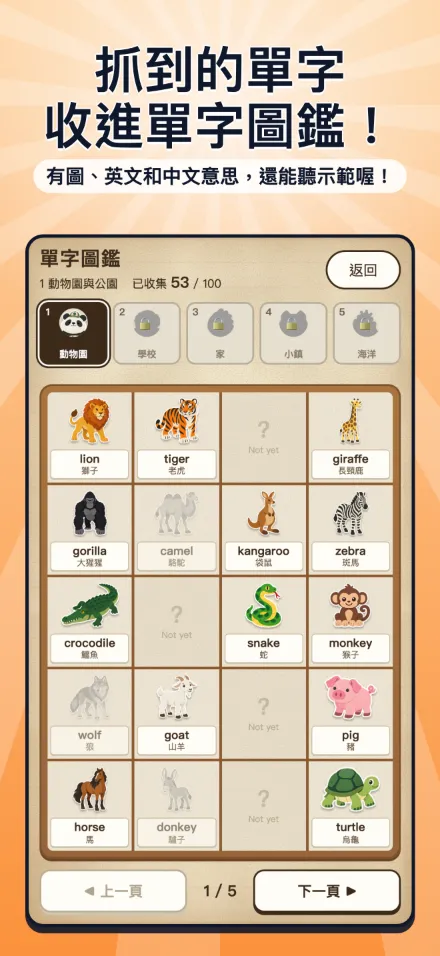 畫面預覽